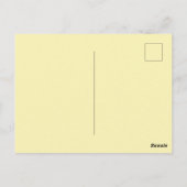 Holland's Curacao Island Postcard Postkarte (Rückseite)