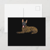 Hollandse Herdershond Dutch Shepherd Dog Postkarte (Vorne/Hinten)