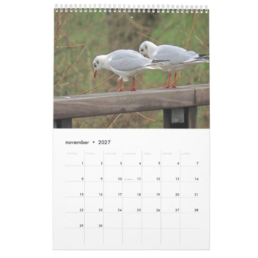 Hollandse vogels Kalender aan te passen (Nov 2027)
