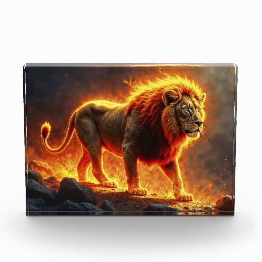 Höllenlandschaft der Feuerlöwen, die die Kunst des Fotoblock (Vorderseite)