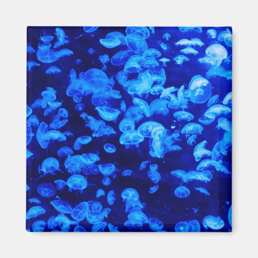 Höllenschaum Magnet (Vorne)