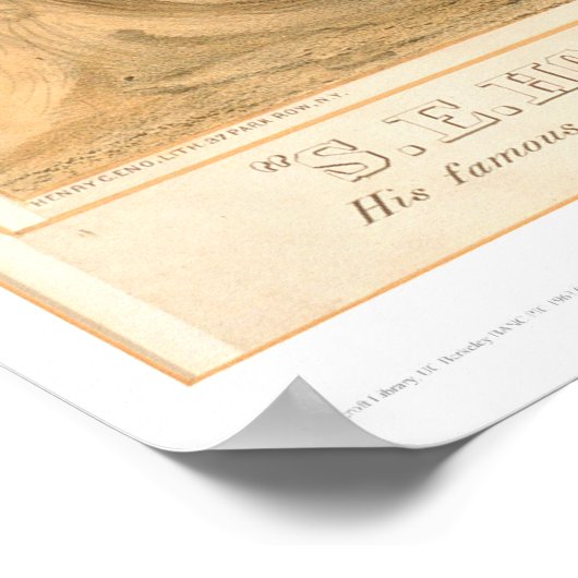 Hollister-Bear-Encounter (0547A) Poster (Ecke)