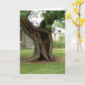 Hollow Tree Karte (Gelbe Blume)