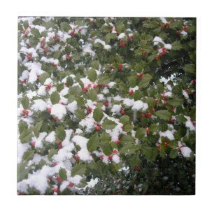 Holly and Snow Fliese
