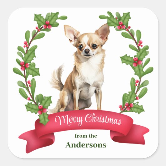 Holly Banner Brown White Chihuahua Dog Weihnachten Quadratischer Aufkleber (Vorderseite)
