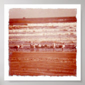 Holly Beach Seagulls Poster (Vorne)