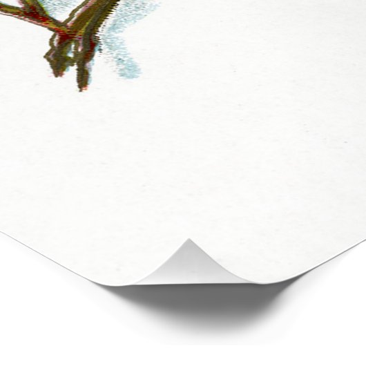 Holly Berries 001 Poster (Ecke)