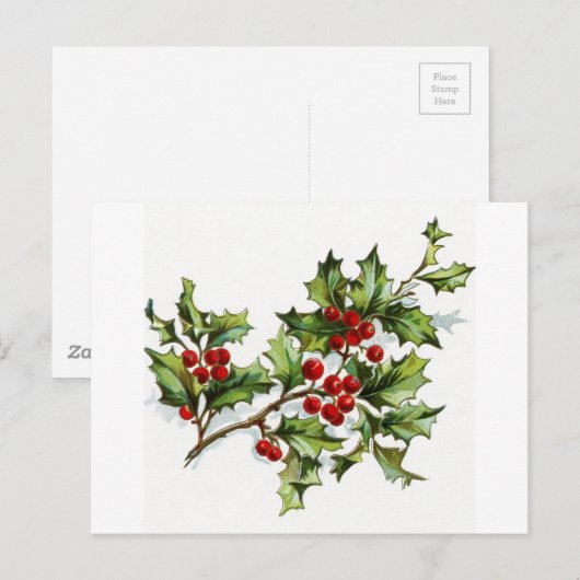 Holly Berries 001 Postkarte (Vorne/Hinten)
