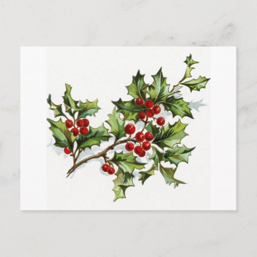 Holly Berries 001 Postkarte (Vorderseite)