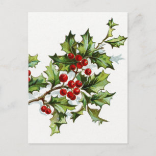 Holly Berries 001 Postkarte