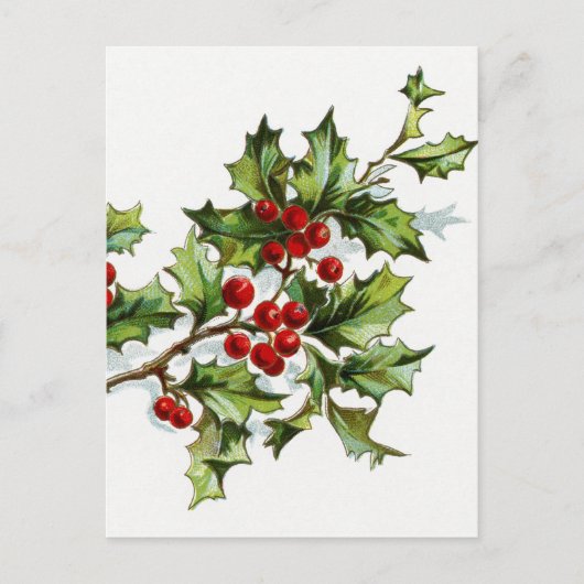 Holly Berries 001 Postkarte (Vorderseite)