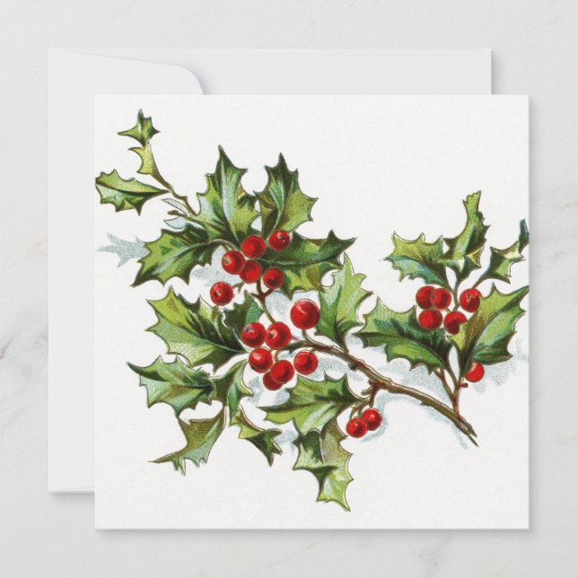 Holly Berries 002 (Vorderseite)