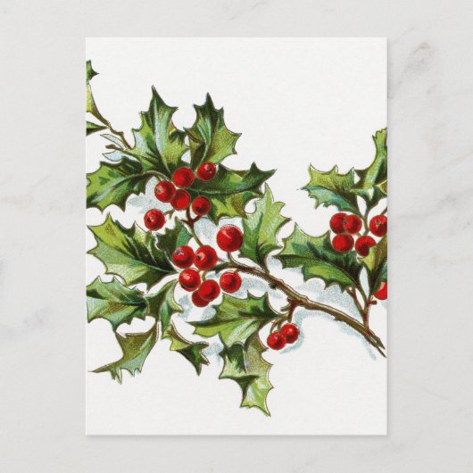 Holly Berries 002 Postkarte (Vorderseite)