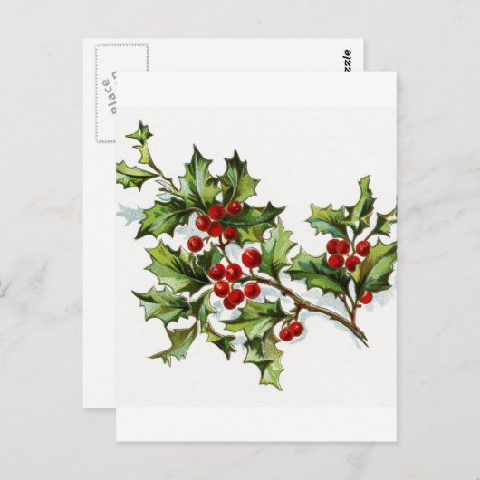Holly Berries 002 Postkarte (Vorne/Hinten)