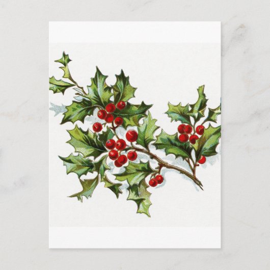 Holly Berries 002 Postkarte (Vorderseite)