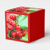 Holly Berries 005 Geschenkschachtel (Vorderseite)