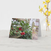 Holly Berries and Fence - Martha's Vineyard Karte (Gelbe Blume)