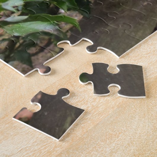 Holly Berries and Fence - Martha's Vineyard Puzzle (Seite)