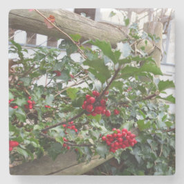 Holly Berries and Fence - Martha's Vineyard Steinuntersetzer