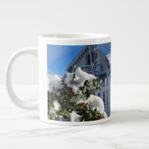 Holly Berries in Snow - Martha's Vineyard