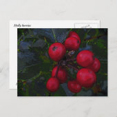 Holly Berries Postcard Postkarte (Vorne/Hinten)