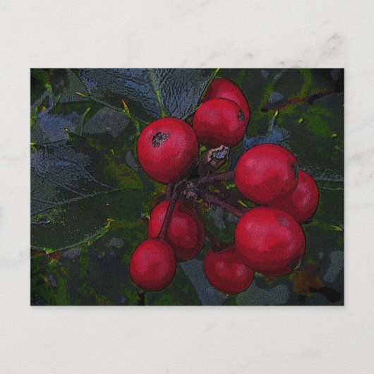 Holly Berries Postcard Postkarte (Vorderseite)