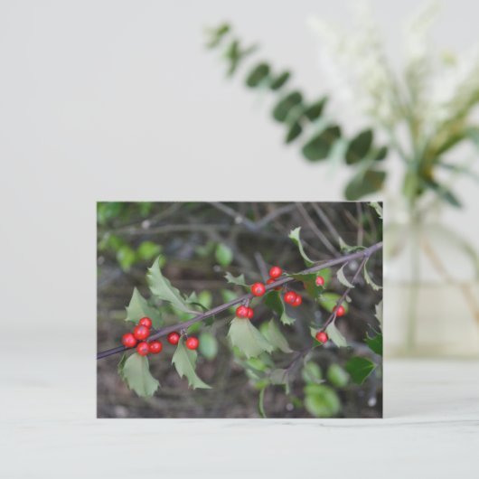 Holly Berries Postkarte (Stehend Vorderseite)