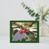 Holly Berry Postkarte (Stehend Vorderseite)