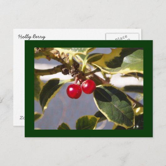Holly Berry Postkarte (Vorne/Hinten)