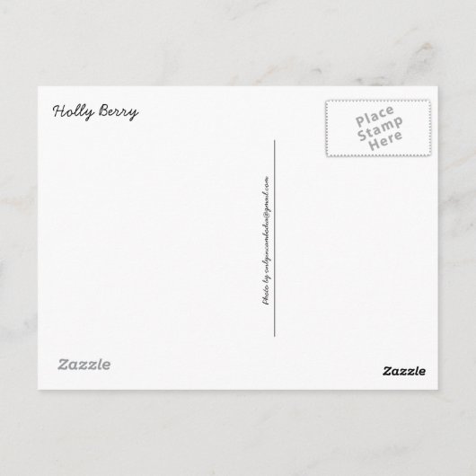 Holly Berry Postkarte (Rückseite)