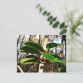 Holly Blätter I Holiday Botanical Feiertagspostkarte (Stehend Vorderseite)