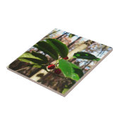 Holly Blätter I Holiday Botanical Fliese (Seite)