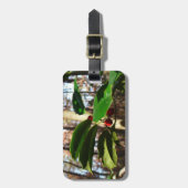 Holly Blätter I Holiday Botanical Gepäckanhänger (Vorderseite vertikal)