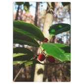 Holly Blätter I Holiday Botanical Klemmbrett (Rückseite)