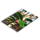 Holly Blätter I Holiday Botanical Notizblock (Linke Seite)