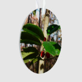 Holly Blätter I Holiday Botanical Ornament (Vorderseite)