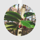 Holly Blätter I Holiday Botanical Ornament (Rückseite)