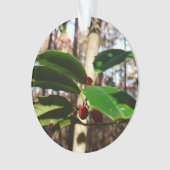 Holly Blätter I Holiday Botanical Ornament (Vorderseite)