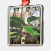 Holly Blätter I Holiday Botanical Ornament Aus Metall (Links)