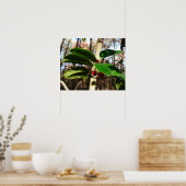 Holly Blätter I Holiday Botanical Poster (Küche)