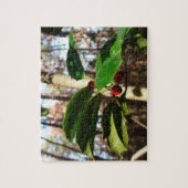 Holly Blätter I Holiday Botanical Puzzle (Vertikal)