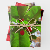 Holly Blätter II Holiday Nature Botanical (Beispiel)