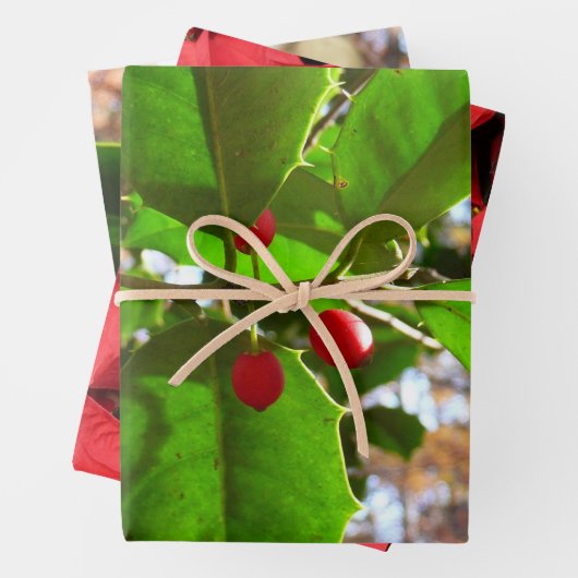 Holly Blätter II Holiday Nature Botanical (Beispiel)