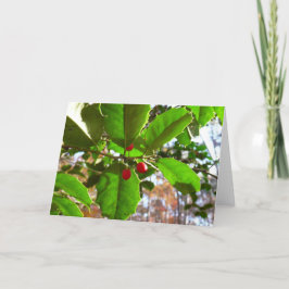 Holly Blätter II Holiday Nature Botanical Feiertagskarte