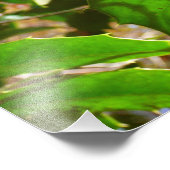 Holly Blätter II Holiday Nature Botanical Fotodruck (Ecke)