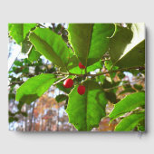 Holly Blätter II Holiday Nature Botanical Gästebuch (Rückseite)