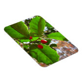 Holly Blätter II Holiday Nature Botanical Magnet (Rechte Seite)