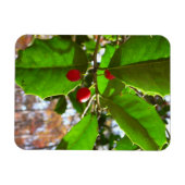 Holly Blätter II Holiday Nature Botanical Magnet (Horizontal)
