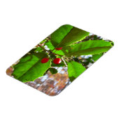 Holly Blätter II Holiday Nature Botanical Magnet (Linke Seite)