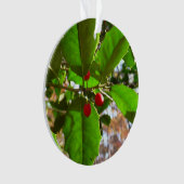 Holly Blätter II Holiday Nature Botanical Ornament (Vorderseite)
